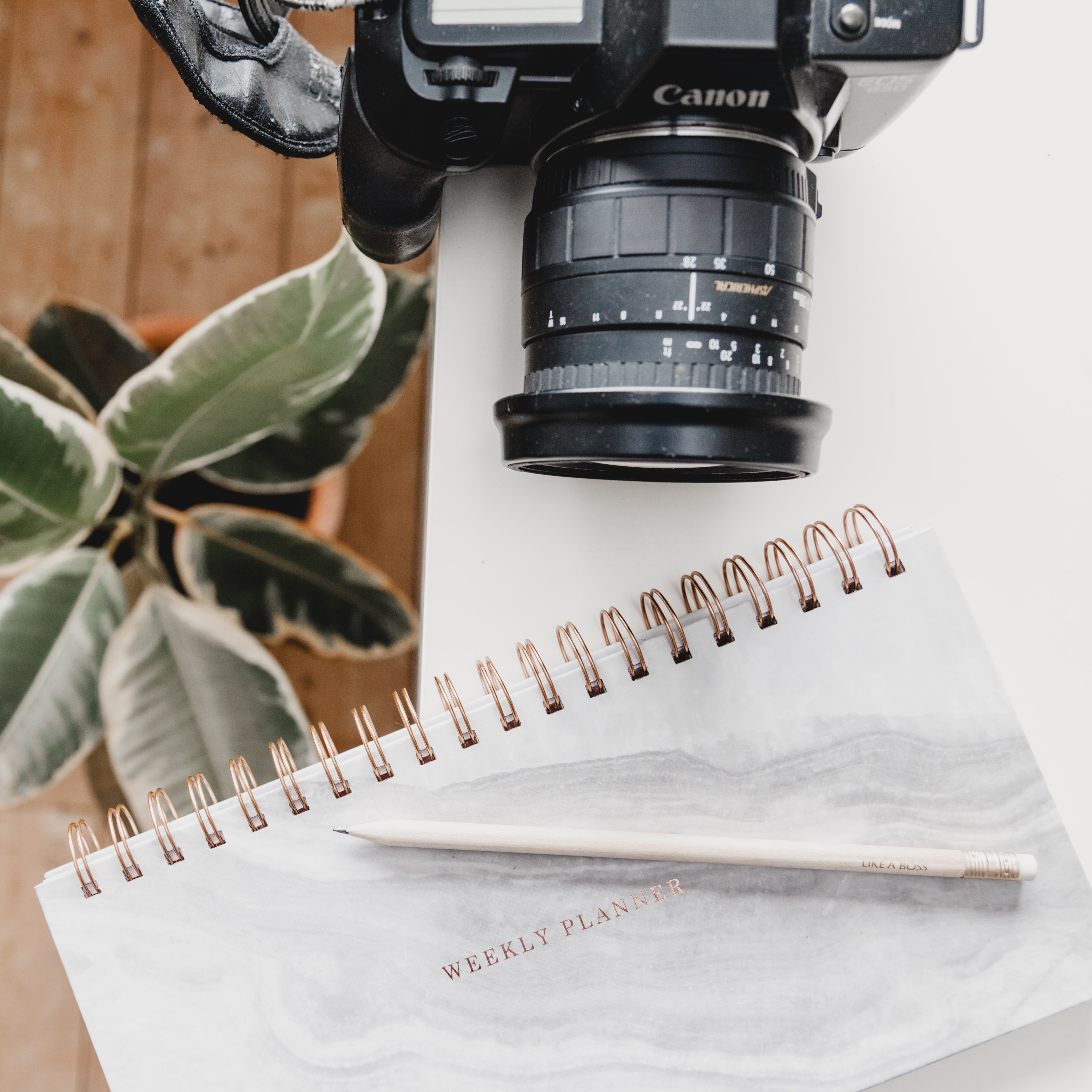 Blog post 1